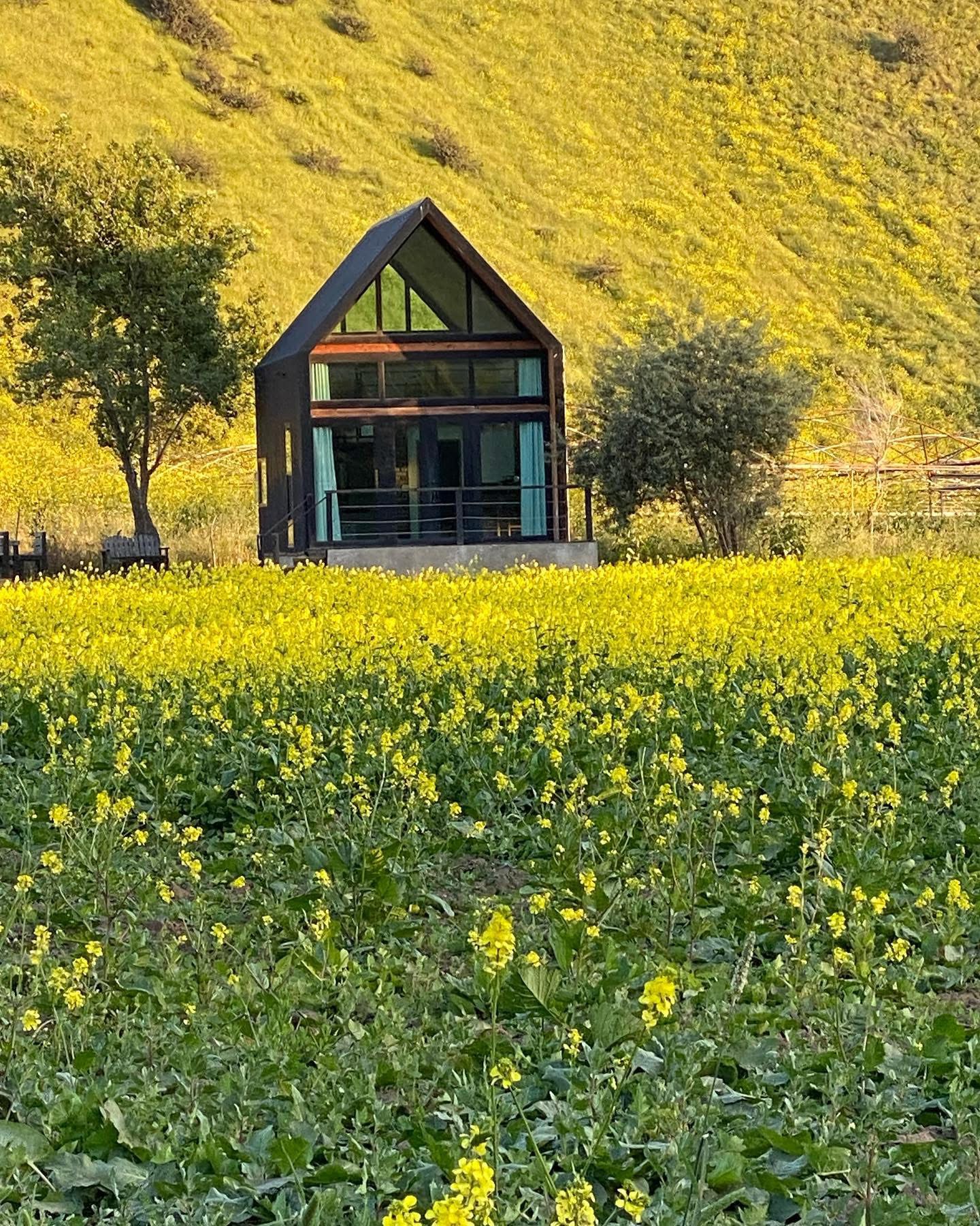 Fotografía de Rancho El Beg